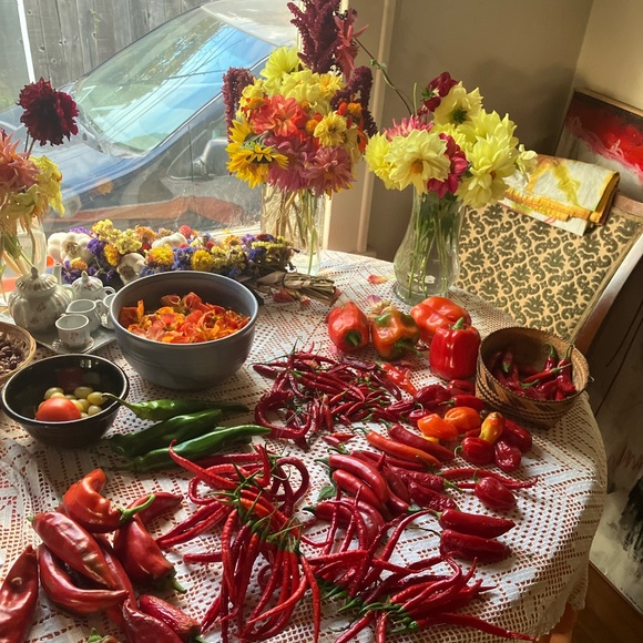 Meet your Posher, Kate - Picture 9 of 11